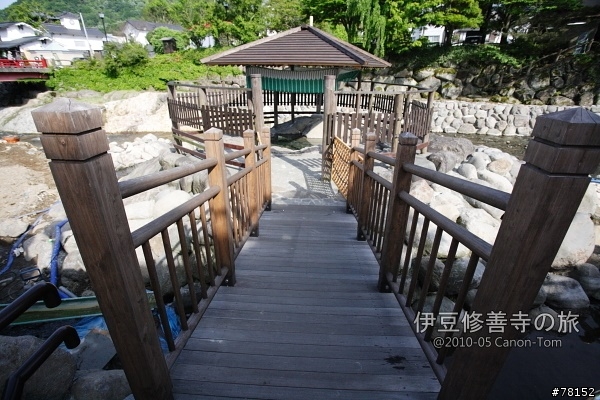 (分享東京近郊景點,圖文多)2010河口湖芝櫻祭+伊豆修善寺虹之鄉之旅