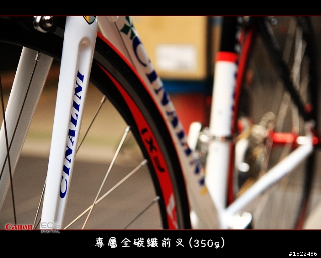 我的自組入門公路車 雖然他不高檔