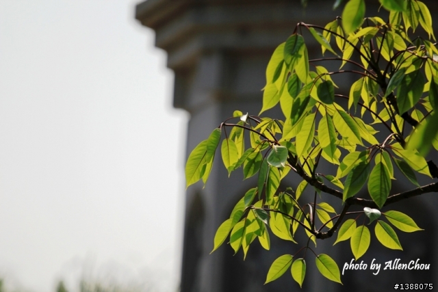 新歡EF 70-200mm f/4L IS USM 小小白IS 初體驗