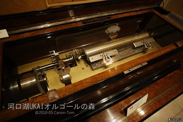 (分享東京近郊景點,圖文多)2010河口湖芝櫻祭+伊豆修善寺虹之鄉之旅