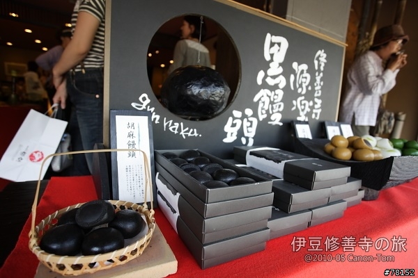 (分享東京近郊景點,圖文多)2010河口湖芝櫻祭+伊豆修善寺虹之鄉之旅