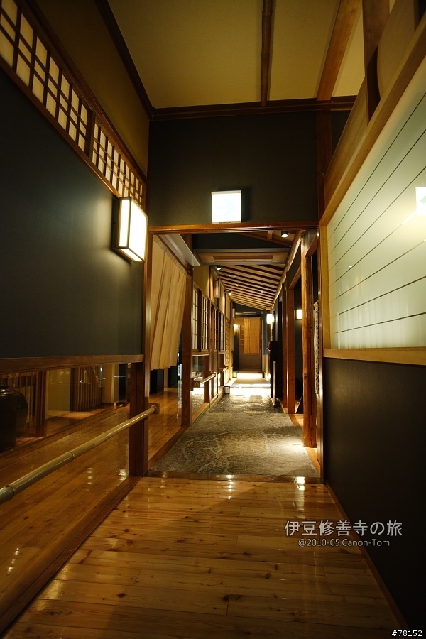 (分享東京近郊景點,圖文多)2010河口湖芝櫻祭+伊豆修善寺虹之鄉之旅