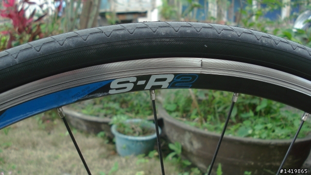 真的是好車2011 TCR COMP1