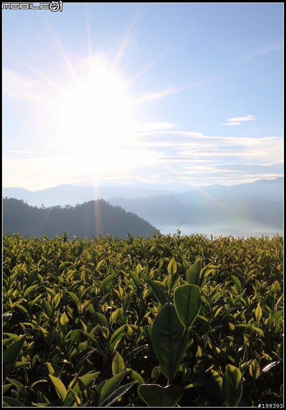 感覺遇到瓶頸了............還是請狠批