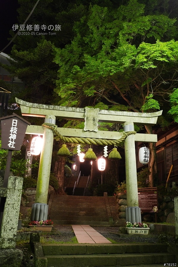 (分享東京近郊景點,圖文多)2010河口湖芝櫻祭+伊豆修善寺虹之鄉之旅