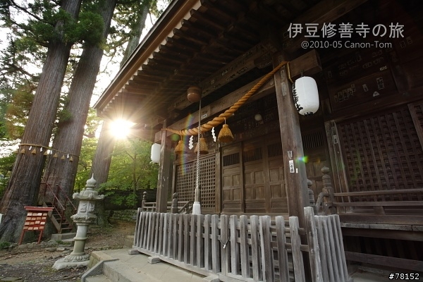 (分享東京近郊景點,圖文多)2010河口湖芝櫻祭+伊豆修善寺虹之鄉之旅