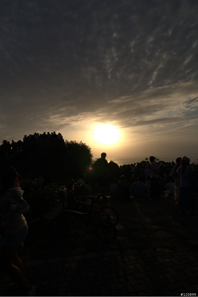 D90新手 圖片試傳