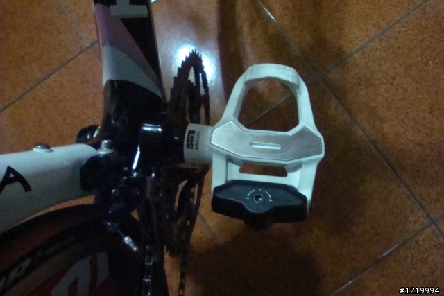 滿足私慾之女王專用公路車