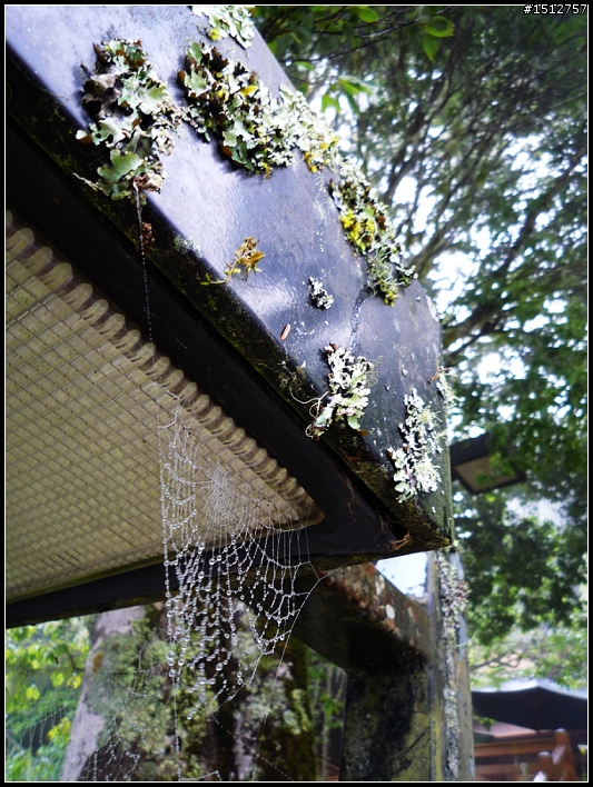 《2010.4.25~4.29》─【一段五天四夜的流浪】