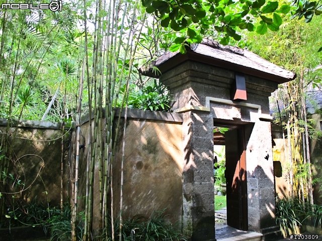 峇里島輕鬆溜搭，四處爽爽玩（下集）