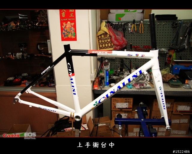 我的自組入門公路車 雖然他不高檔
