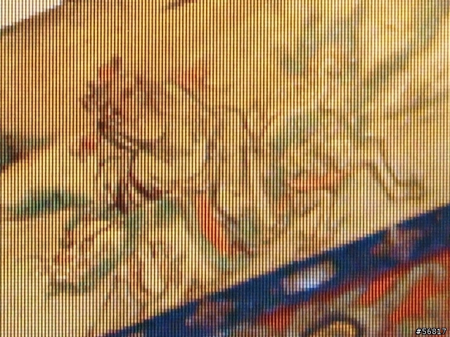 ACDSee和nEO iMAGING看到的不一樣?