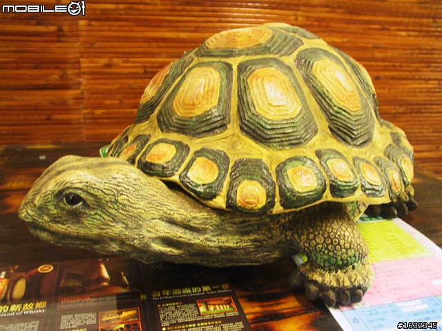 瓜哥及董哥真情推薦-大阪炭烤火鍋城=用心、貼心、超平價的炭烤......