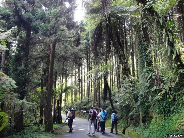 (照片)20100508溪頭天文台登山健行