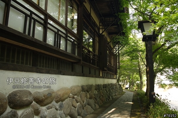 (分享東京近郊景點,圖文多)2010河口湖芝櫻祭+伊豆修善寺虹之鄉之旅