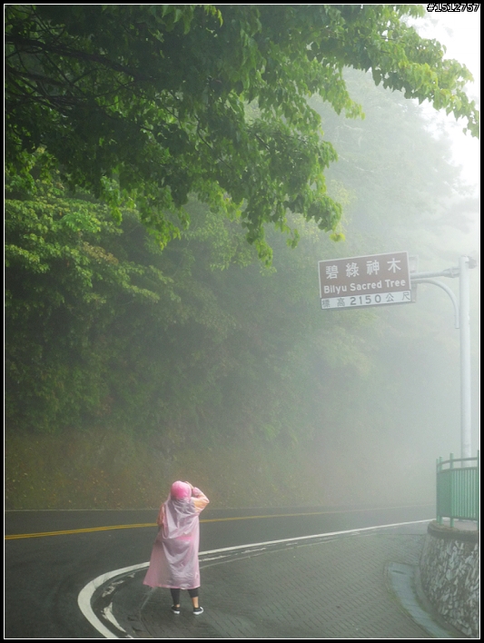 《2010.4.25~4.29》─【一段五天四夜的流浪】