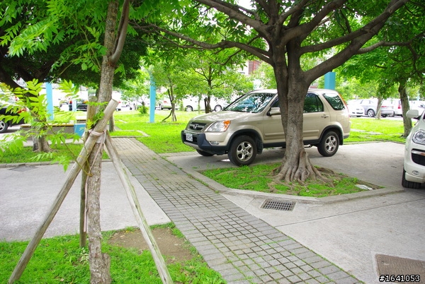 只證明低人品,不證明高學歷,,原標題"高學歷,低人品",,更改標題為”只證明低人品,不證明高學歷”