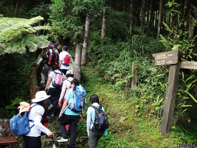 (照片)20100508溪頭天文台登山健行