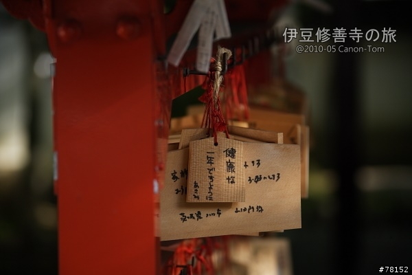 (分享東京近郊景點,圖文多)2010河口湖芝櫻祭+伊豆修善寺虹之鄉之旅