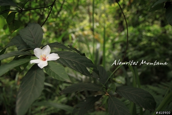 來個最初的感動  新手拍攝蓋大樓