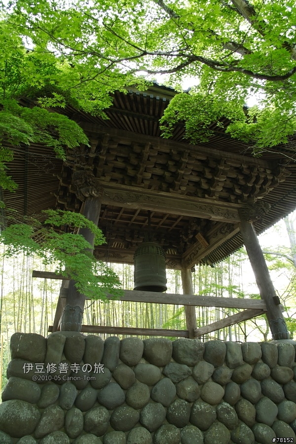 (分享東京近郊景點,圖文多)2010河口湖芝櫻祭+伊豆修善寺虹之鄉之旅