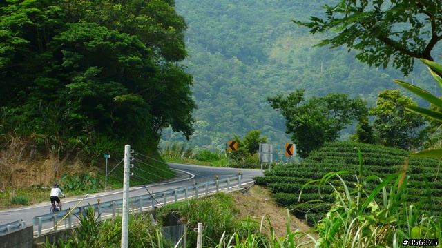 [遊記] 我們的藍鵲公路.........北43/北42