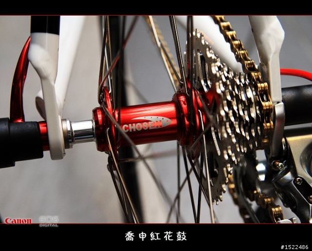 我的自組入門公路車 雖然他不高檔