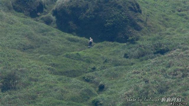 陽明山蝴蝶季搶先看(大屯山、二子坪、冷水坑)
