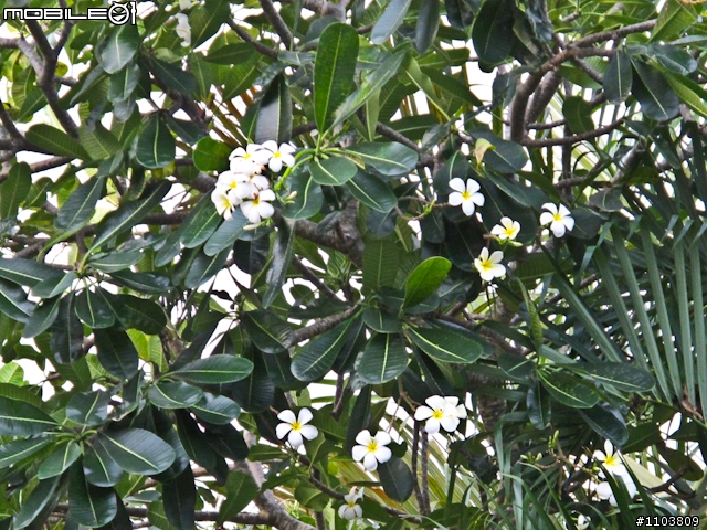 峇里島輕鬆溜搭，四處爽爽玩（下集）