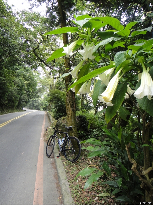 分享心型3P路線