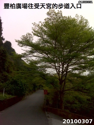 下一站，139（20110319補上二輪木屋後方已鋪上柏油的好漢坡、四面佛寺內陡坡與挑水古道新路線照片）