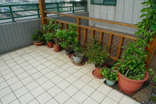我們家的空中花果園