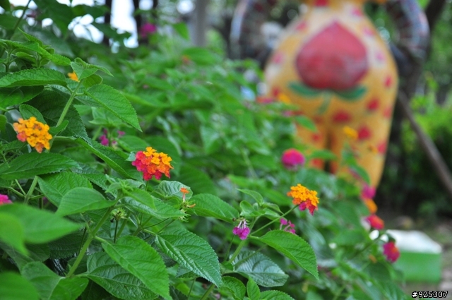 單眼新手~D5000+18-105~第一次PO圖~請多指教~謝謝^^"