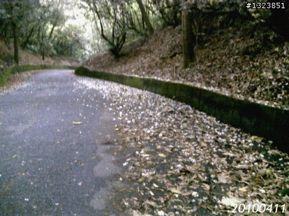 下一站，139（20110319補上二輪木屋後方已鋪上柏油的好漢坡、四面佛寺內陡坡與挑水古道新路線照片）