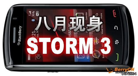 blackberry storm3