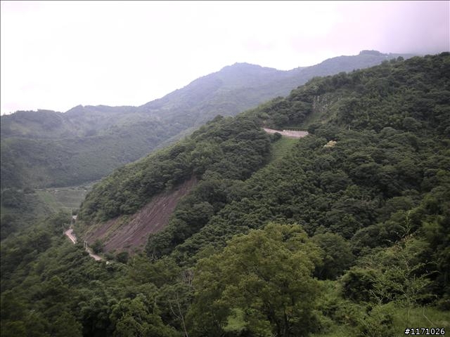 逆來順去雙滿貫
