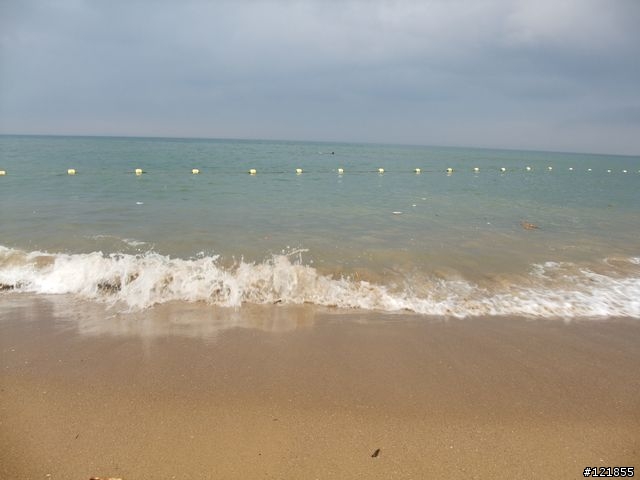 [食玩天地] 台北貢寮 福隆海水浴場-2010沙雕季