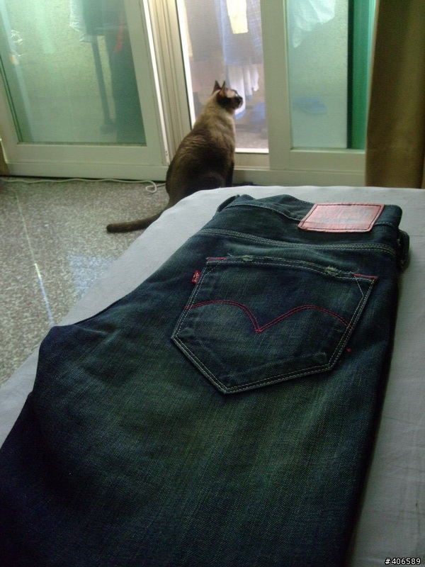 【分享】Levi's Slim Straight 522 完全不專業開箱