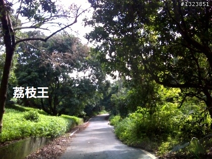 下一站，139（20110319補上二輪木屋後方已鋪上柏油的好漢坡、四面佛寺內陡坡與挑水古道新路線照片）