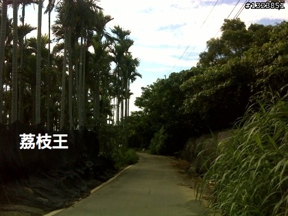 下一站，139（20110319補上二輪木屋後方已鋪上柏油的好漢坡、四面佛寺內陡坡與挑水古道新路線照片）