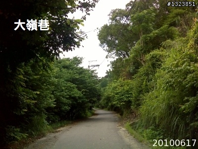 下一站，139（20110319補上二輪木屋後方已鋪上柏油的好漢坡、四面佛寺內陡坡與挑水古道新路線照片）