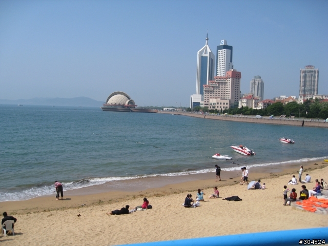 紅貴賓迪迪與青島