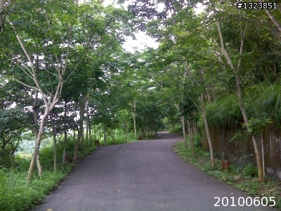 下一站，139（20110319補上二輪木屋後方已鋪上柏油的好漢坡、四面佛寺內陡坡與挑水古道新路線照片）