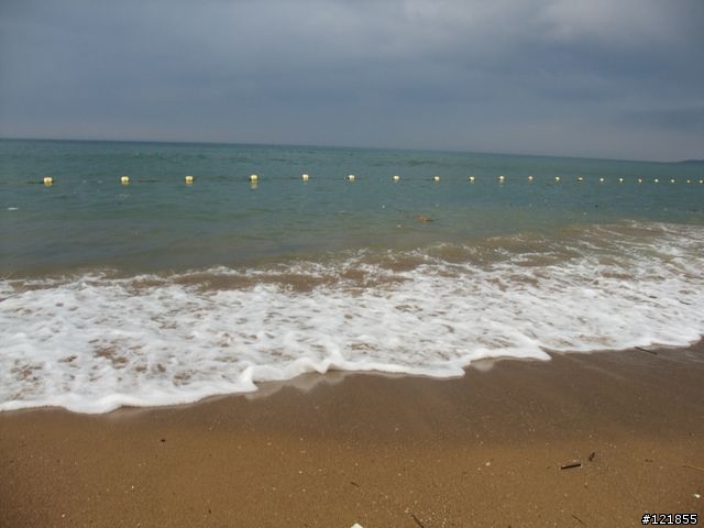 [食玩天地] 台北貢寮 福隆海水浴場-2010沙雕季