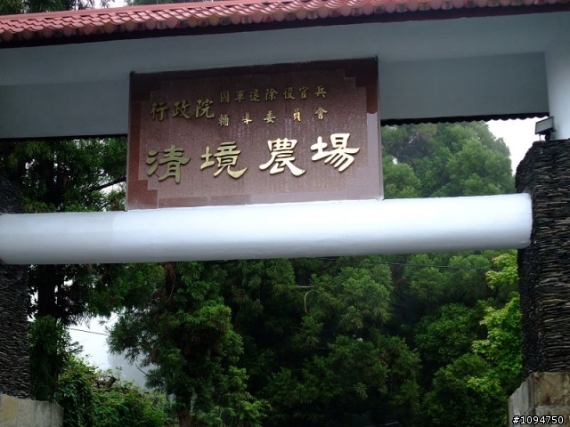霧茫茫的清境(及短暫日月潭停留)