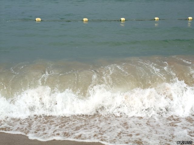 [食玩天地] 台北貢寮 福隆海水浴場-2010沙雕季