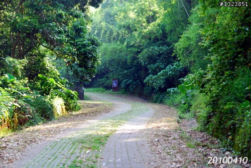 下一站，139（20110319補上二輪木屋後方已鋪上柏油的好漢坡、四面佛寺內陡坡與挑水古道新路線照片）