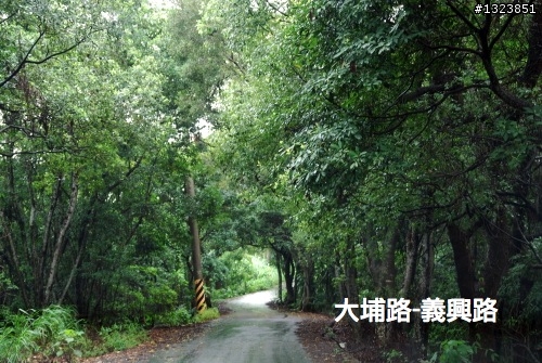 下一站，139（20110319補上二輪木屋後方已鋪上柏油的好漢坡、四面佛寺內陡坡與挑水古道新路線照片）