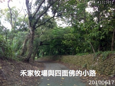 下一站，139（20110319補上二輪木屋後方已鋪上柏油的好漢坡、四面佛寺內陡坡與挑水古道新路線照片）