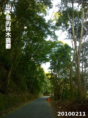 下一站，139（20110319補上二輪木屋後方已鋪上柏油的好漢坡、四面佛寺內陡坡與挑水古道新路線照片）